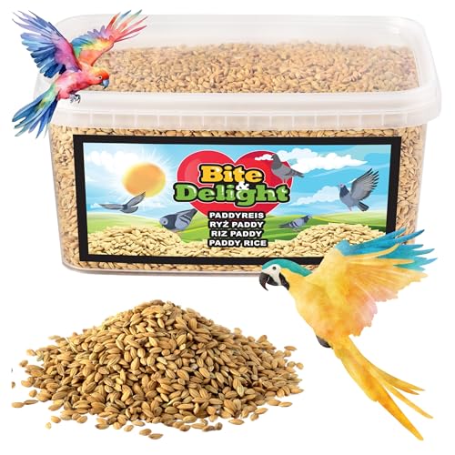 Bite & Delight 2kg Paddyreis Vogelfutter Futter-Reis für Wildvögel Papageien Tauben Fasane Ohne Künstliche Zusatzstoffe von Bite & Delight