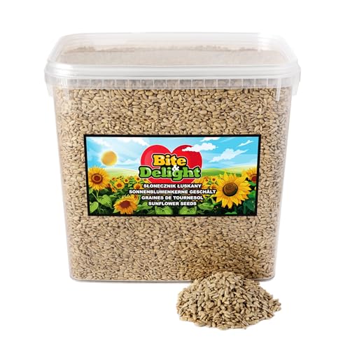 Bite & Delight 6 kg Sonnenblumenkerne Geschält Vogelfutter Wildvögel Ganzjährig Sommer Winter Vogelfutter Wildvogelfutter ohne Schale Sunflower Seeds von Bite & Delight