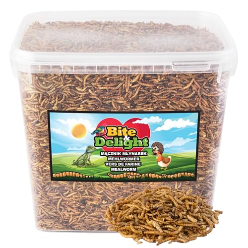 Bite & Delight Premium Mehlwürmer Getrocknet - Proteinreiches und Fettreiches Vogelfutter Wildvögel Ganzjährig - Igelfutter - Eichhörnchen Futter - Hamster Futter - Universalfutter - 10000 ml von Bite & Delight