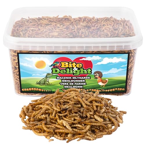 Bite & Delight Premium Mehlwürmer Getrocknet - Proteinreiches und Fettreiches Vogelfutter Wildvögel Ganzjährig - Igelfutter - Eichhörnchen Futter - Hamster Futter - Universalfutter - 2500 ml - 500g von Bite & Delight