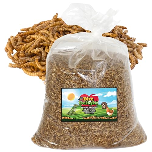 Bite & Delight Premium Mehlwürmer Getrocknet - Proteinreiches und Fettreiches Vogelfutter Wildvögel Ganzjährig - Igelfutter - Eichhörnchen Futter - Hamster Futter - Universalfutter - 5kg von Bite & Delight