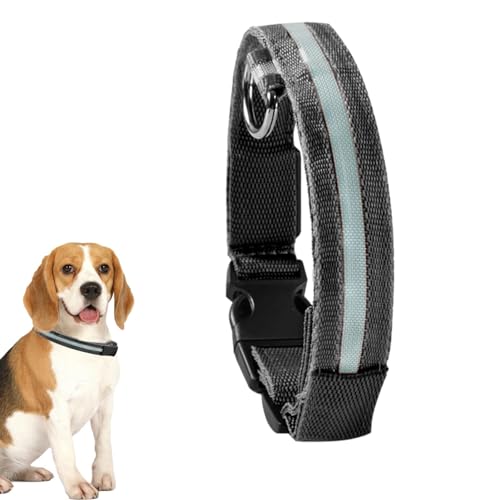 Bitong LED-Halsband, Blinkendes Leuchthalsband für Hunde, Tragbares, im Dunkeln leuchtendes Hundesicherheitshalsband für mittelgroße Welpen und Haustiere von Bitong