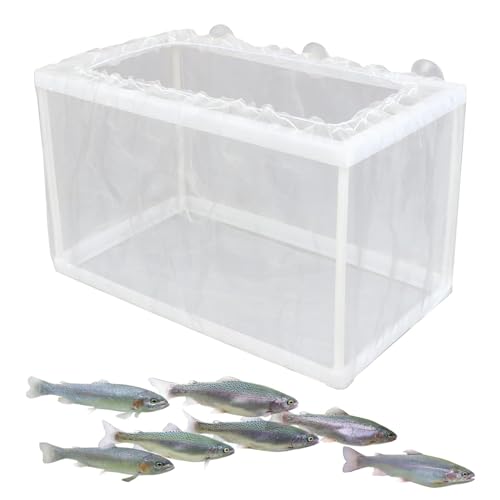 Fischzuchtbox, Fisch-Isolationsbox, Netzbox, Aquarium-Inkubatorbox mit Saugnäpfen, Fischbrutstätte für Garnelen, Aquarienfische von Bitong