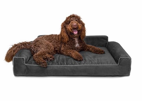 Bjird Hundebett - Hundekorb für kleine mittelgroße & große Hunde - Hundekissen - Hundesofa - Bezug abnehmbar und waschbar - Glamour New - Größe: XL: 116 x 78 cm - Schwarz Fancy von Bjird