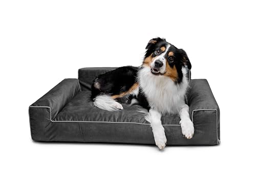 Bjird Hundebett - Hundekorb für kleine mittelgroße & große Hunde - Hundekissen - Hundesofa - Bezug abnehmbar und waschbar - Glamour New - Größe: L: 98 x 66 cm - Schwarz Fancy von Bjird