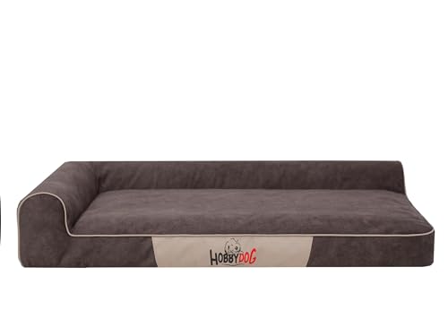 Bjird Hundebett - Hundekorb für kleine mittelgroße & große Hunde - Hundekissen - Hundesofa - Bezug abnehmbar und waschbar - Best - Größe: 80 x 53 x 18 cm [Größe: S] - Braun von Bjird