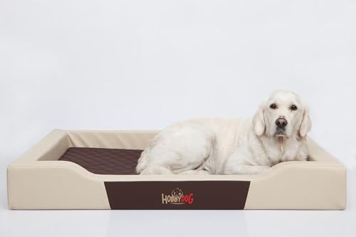 Bjird Hundebett - Hundekorb für kleine mittelgroße & große Hunde - Hundekissen - Hundesofa aus Kunstleder - Bezug abnehmbar und waschbar - Deluxe - Größe: M - Beige von Bjird