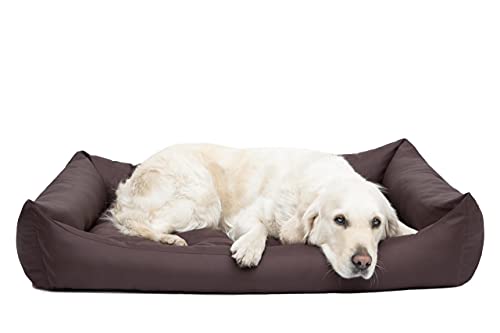 Bjird Hundebett - Hundekorb für kleine mittelgroße & große Hunde - Hundekissen - Hundesofa - Bezug abnehmbar und waschbar - Eco - Größe: S - Braun von Bjird