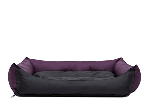 Bjird Hundebett - Hundekorb für kleine mittelgroße & große Hunde - Hundekissen - Hundesofa - Bezug abnehmbar und waschbar - Eco - Größe: S - Violet mit Schwarz von Bjird