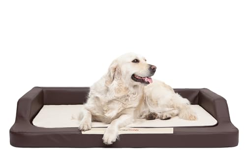 Hundebett für kleine, mittelgroße und Grosse Hunde - orthopädische Hundesofa mit Memory Foam - Ergonomisches Hundekissen - Hundeliegen aus Kunstleder - Bezug abnehmbar & waschbar - S - Braun/Beige von Bjird