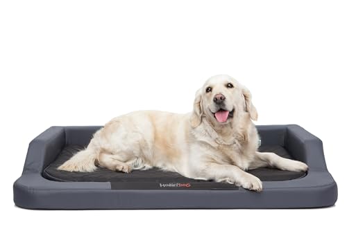 Hundebett für kleine, mittelgroße und Grosse Hunde - orthopädische Hundesofa mit Memory Foam - Ergonomisches Hundekissen - Hundeliegen - Bezug abnehmbar und abwaschbar - Größe: S - Grau mit Schwarz von Bjird