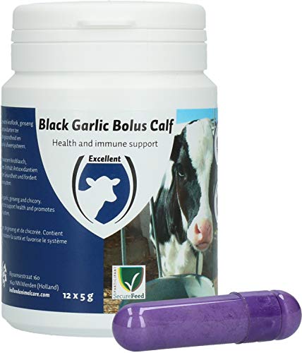 Bolus Kalb Knoblauch schwarz von Black Premium by EMP