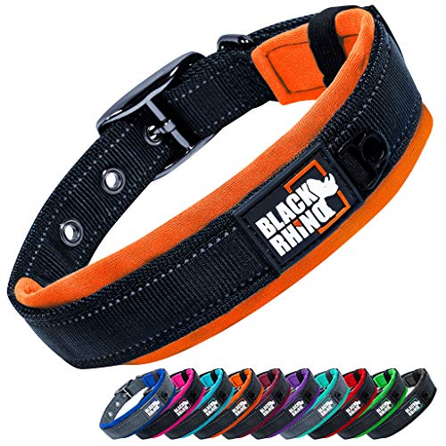 Black Rhino - Das Comfort Halsband Super Weiches Neopren Gepostertes Hundehalsband für alle Hunderassen - Hochbeanspruchbar Verstellbar Reflektierend Wetterfest (Klein, Orange/Schwarz) von Black Rhino