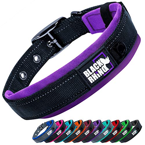 Black Rhino – Das Komforthalsband, superweiches, mit Neopren gepolstertes Hundehalsband für alle Hunderassen – robust, verstellbar, reflektierend, wetterfest (XL, Lila/Schwarz), led hundehalsband von Black Rhino