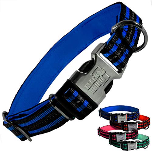 Black Rhino Klassische gestreifte einstellbare hundehalsband für small medium Large rassen | 3m Reflective Threading | 4 helle Farben passende leinen separat erhältlich (blau gestreift, Large) von Black Rhino