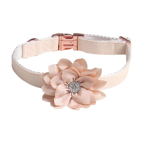 Verstellbare Katzenhalsband,Hundehalsband,Haustier Halsband mit Strassblumen und Metallschnalle,Blumen Abnehmbar,Halsband Hund,Hunde Halsband,Katzenhalsb鋘der,f黵 Welpen K鋞zchen,Beige,1.5 x 35 cm von Blausky