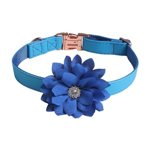 Verstellbare Katzenhalsband,Hundehalsband,Haustier Halsband mit Strassblumen und Metallschnalle,Blumen Abnehmbar,Halsband Hund,Hunde Halsband,Katzenhalsb鋘der,f黵 Welpen K鋞zchen,Blau,1.5 x 35 cm von Blausky