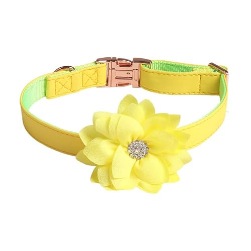 Verstellbare Katzenhalsband,Hundehalsband,Haustier Halsband mit Strassblumen und Metallschnalle,Blumen Abnehmbar,Halsband Hund,Hunde Halsband,Katzenhalsbänder,für Welpen Kätzchen,Gelb,1.5 x 35 cm von Blausky