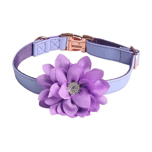 Verstellbare Katzenhalsband,Hundehalsband,Haustier Halsband mit Strassblumen und Metallschnalle,Blumen Abnehmbar,Halsband Hund,Hunde Halsband,Katzenhalsb鋘der,f黵 Welpen K鋞zchen,Lila,1.5 x 35 cm von Blausky