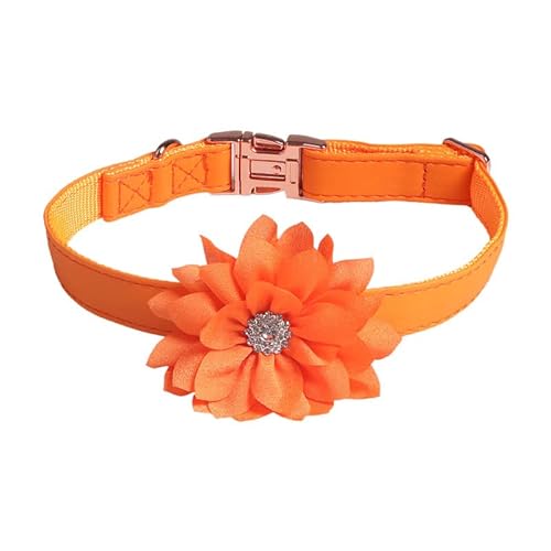 Verstellbare Katzenhalsband,Hundehalsband,Haustier Halsband mit Strassblumen und Metallschnalle,Blumen Abnehmbar,Halsband Hund,Hunde Halsband,Katzenhalsb鋘der,f黵 Welpen K鋞zchen,Orange,1.5 x 35 cm von Blausky