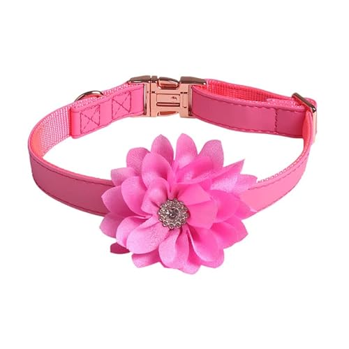 Verstellbare Katzenhalsband,Hundehalsband,Haustier Halsband mit Strassblumen und Metallschnalle,Blumen Abnehmbar,Halsband Hund,Hunde Halsband,Katzenhalsbänder,für Welpen Kätzchen,Rosenrot,1.5 x 35 cm von Blausky