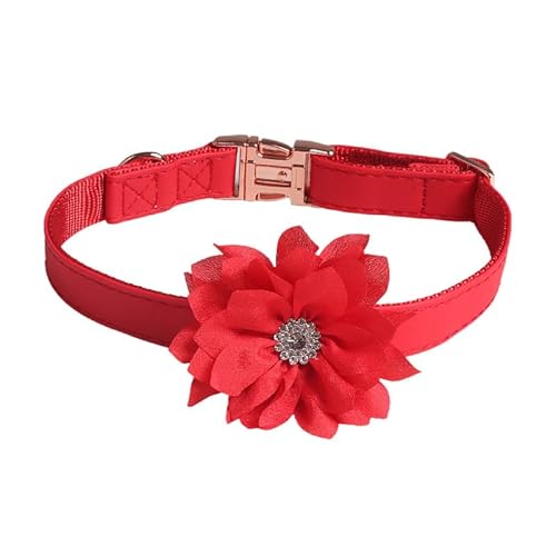 Verstellbare Katzenhalsband,Hundehalsband,Haustier Halsband mit Strassblumen und Metallschnalle,Blumen Abnehmbar,Halsband Hund,Hunde Halsband,Katzenhalsbänder,für Welpen Kätzchen,Rot,1.5 x 35 cm von Blausky