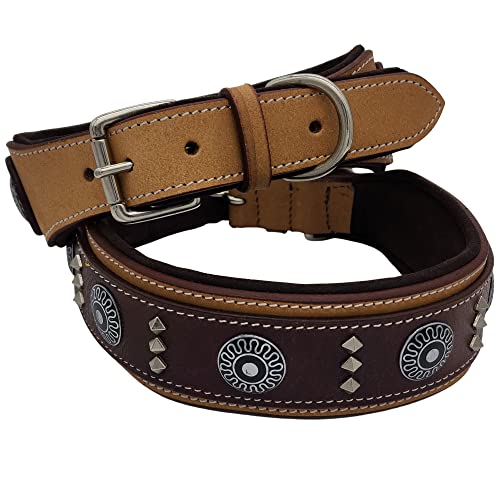 Blazing Paws Armington Hundehalsband, breit, 5,1 cm, luxuriöses, dickes Leder, Western-Hundehalsband für große Hunde, weiches Wildleder, gepolstert, mit Schild-Conchos und quadratischen Nieten, Größe von BlazingPaws