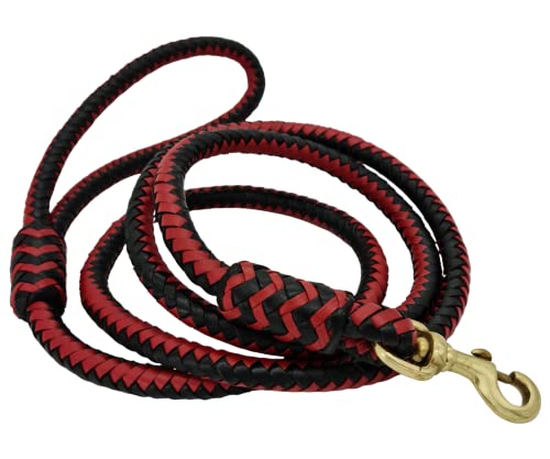 Blazing Paws Elegania Premium-Leder-Hundeleine für große Hunde, luxuriös, geflochten, echtes Leder, 1,8 m (Rot/Schwarz, 1,8 m) von BlazingPaws