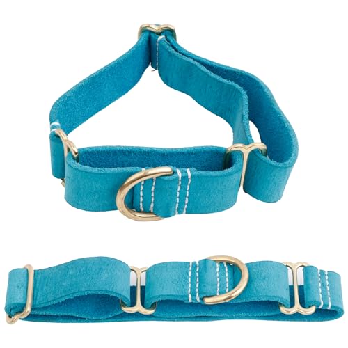 Blazing Paws Vibrania Martingale Schlupfhalsband für große XL-XXL-Hunde, 3,8 cm breit in bunten antiken Farbtönen (L: Halsumfang 38,1 - 45,7 cm, Türkis) von BlazingPaws