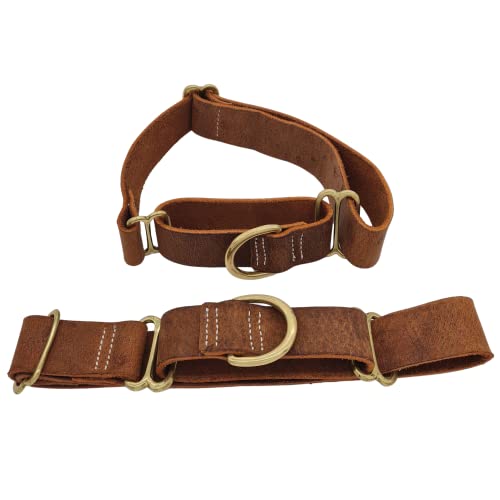 BlazingPaws® Vibrington Martingale Leder-Hundehalsband, zum Reinschlüpfen, verstellbar, für große XL-XXL-Hunde, 3,8 cm breit, in bunten, dicken Ledertönen im Used-Look, Hellbraun, XL: Halsumfang 48,3 von BlazingPaws