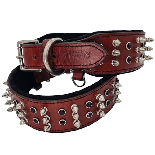 BlazingPaws® Sabrington Luxus-Hundehalsband für große Hunde mit Schraubspikes, hochwertiges Kirsch-Zaumleder und weicher Wildlederpolsterung (Halsumfang: 48,3 - 55,9 cm, Kirschrot) von BlazingPaws