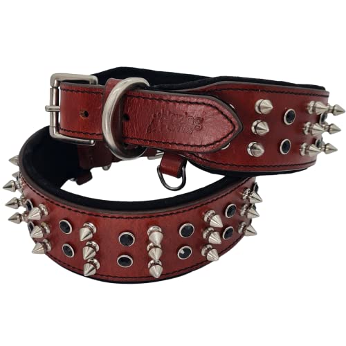 BlazingPaws Sabrington Hundehalsband Leder, 5,1 cm breit, aus Leder, mit weicher Wildlederpolsterung (Halsumfang: 38,1 - 45,7 cm, Kirschrot) von BlazingPaws