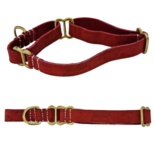 BlazingPaws Vibrania Martingale Schlupfhalsband aus superweichem Leder für mittelgroße Hunde, 1,9 cm breit in bunten Vintage-Farbtönen (M: Halsumfang 30,5 - 35,6 cm, Kirsch) von BlazingPaws