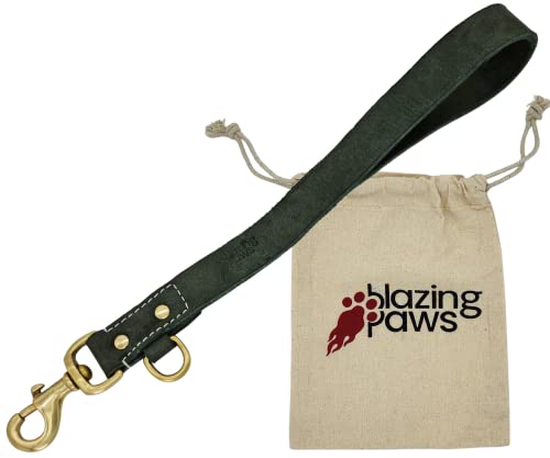 BlazingPaws Vibrania kurze Leder-Hundeleine, strapazierfähig, 2,5 cm breit, 3,5 m lange Verkehrshundeleine für das Training großer Hunde (3,8 m L x 2,5 cm B), Jägergrün) von BlazingPaws