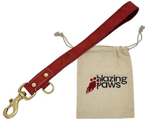 BlazingPaws Vibrania kurze Leder-Hundeleine, strapazierfähig, 2,5 cm breit, 3,5 m lange Verkehrshundeleine für das Training großer Hunde (3,8 m L x 2,5 cm B), Kirsche von BlazingPaws
