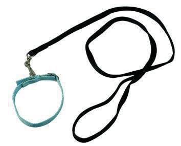 Blinky Hundeleine Nylon mit Schleife, 1.5 cm/SEZ 150 cm von Blinky