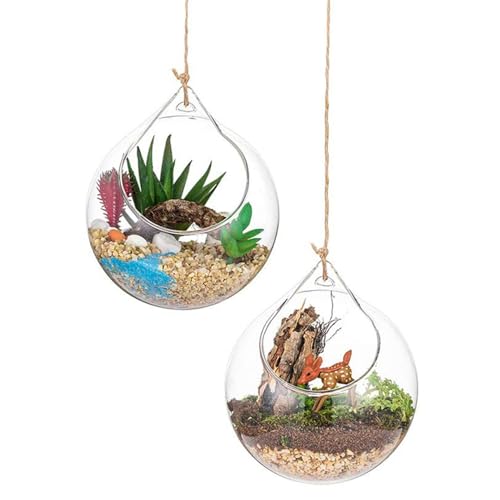 Hanging Terrariumglas, Glas Terrarium Globes 2pcs 3,93 Zoll transparant runde große Eröffnung hängende Terrariumglasglas Hängende Teelichthalter mit Lanyard für Hochzeitsfeierdekoration von Blogiiup