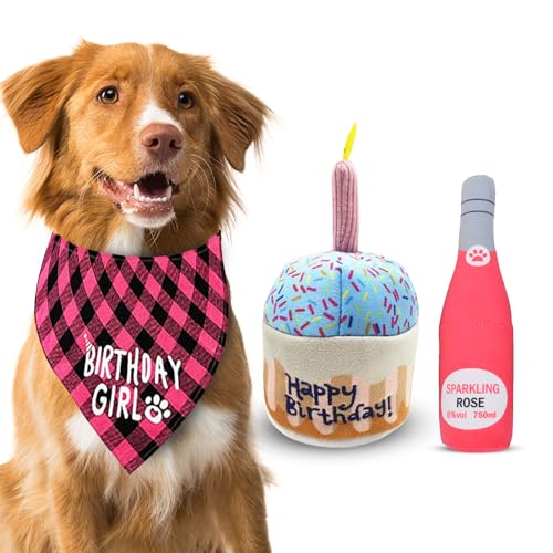 Blossomlush Hund Geburtstag Cupcake, Bandana, lustiges Getränk Plüschtier (Pink) von Blossomlush