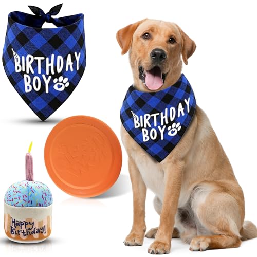 Blossomlush Hundegeburtstag Frisbee, Bandana, Cupcake von Blossomlush