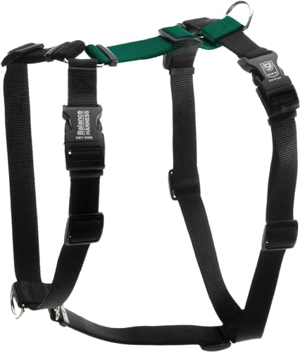 Blue-9 Buckle-Neck Balance Harness, vollständig anpassbare Passform, kein Ziehen, ideal für Hundetraining und Gehorsamkeit, hergestellt in den USA, Jägergrün, Größe M von Blue-9