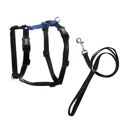 Blue-9 Pet Products No-Pull Balance Harness and Loose Leash Walking Set Dogs, Made in The USA, Blau, Größe S von Blue-9