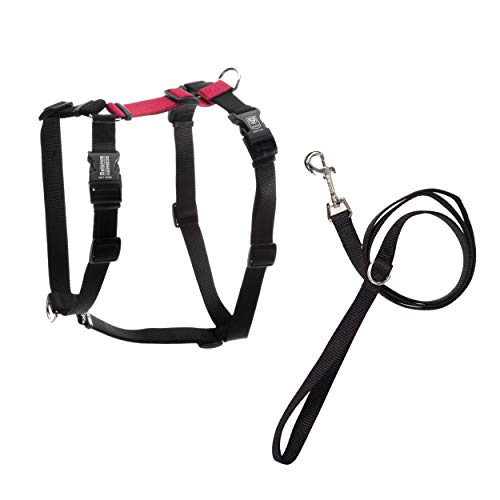 Blue-9 Pet Products No-Pull Balance Harness and Loose Leash Walking Set Dogs, Made in The USA, Rot, Größe S von Blue-9