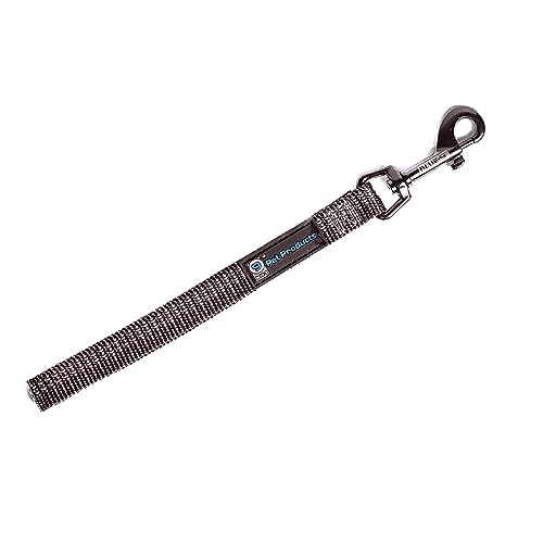 Blue-9 Reflektierende Hundetrainingsleine, 22,9 cm lange Hundeleine mit 3M-reflektierenden Nähten für Gehorsam, Rückruf und Beweglichkeitstraining, hergestellt in den USA, Grau von Blue-9