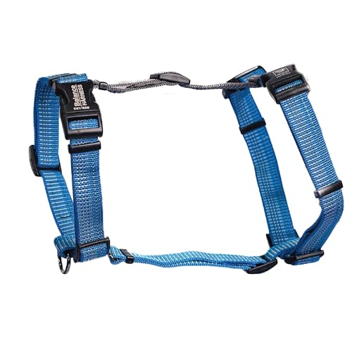 Blue-9 Reflektierendes Balance-Geschirr mit Schnalle, vollständig anpassbare Passform, kein Ziehen, mit 3M-reflektierenden Nähten, ideal für Hundetraining und Gehorsam, hergestellt in den USA, Blau, von Blue-9