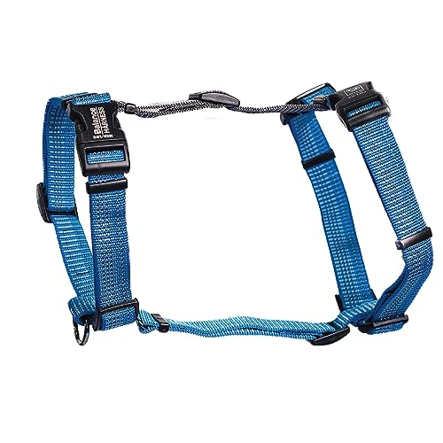 Blue-9 Reflektierendes Balance-Geschirr mit Schnalle, vollständig anpassbare Passform, kein Ziehen, mit 3M-reflektierenden Nähten, ideal für Hundetraining und Gehorsam, hergestellt in den USA, Blau, von Blue-9