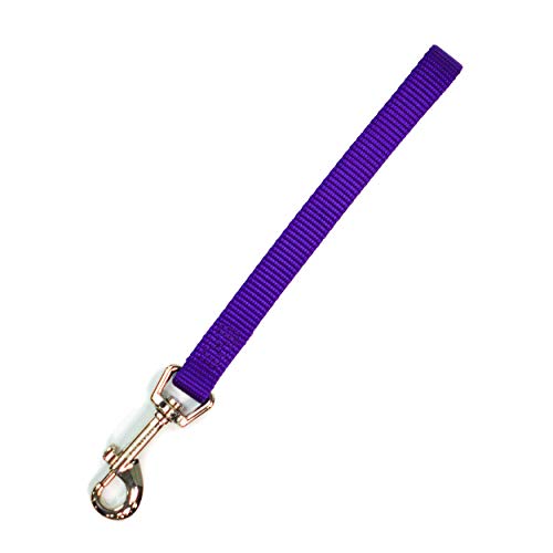 Blue-9 Trainingsleine für Hunde, 22,9 cm (9 Zoll) Schlaufe, für Gehorsamkeitstraining, Rückruf und Beweglichkeitstraining, hergestellt in den USA, Violett von Blue-9