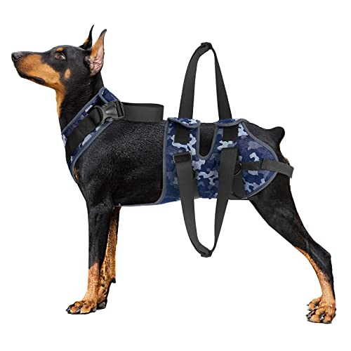 Blue Dream Island Gehhilfe Gürtel für ältere Hunde, postoperatives einteiliges Hunde-Lift-Unterstützungsgeschirr, Hilfsgurt, tragbare Schlinge für Hunde_M von Blue Dream Island