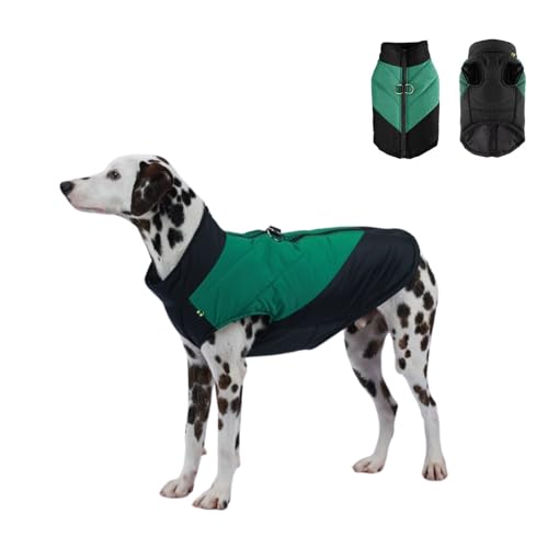 Hunde-Winterjacke mit D-Ring, winddicht, warm, Farbblockierung, für kleine, mittelgroße und große Hunde, Größe XXL (Schwarz und Grün) von Blue Dream Island