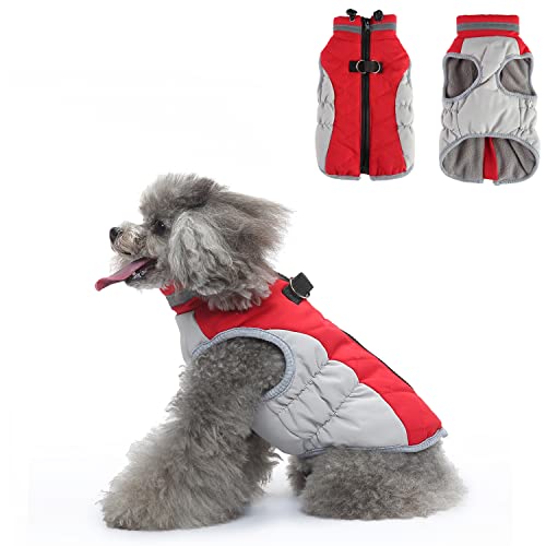 Hundegeschirr, Kleidung, Winter, warme Hundejacke mit Reißverschluss, winddichter Mantel, Wintermantel aus Baumwolle für kleine, mittelgroße Hunde, Rot und Grau (2XL) von Blue Dream Island