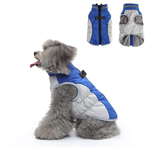 Hundegeschirr, Kleidung, Winter, warme Hundejacke mit Reißverschluss, winddichter Mantel für kaltes Wetter, Winter-Baumwollmäntel für kleine, mittelgroße Hunde, Blau und Grau (XL) von Blue Dream Island